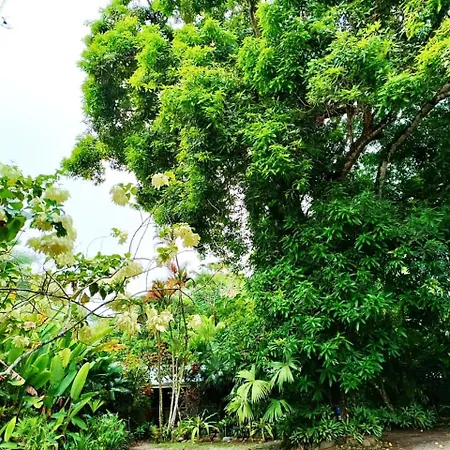 La Diosa Nature Lodge-3
