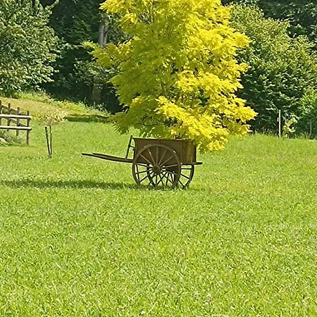 La Petite Maison Dans La Prairie-2
