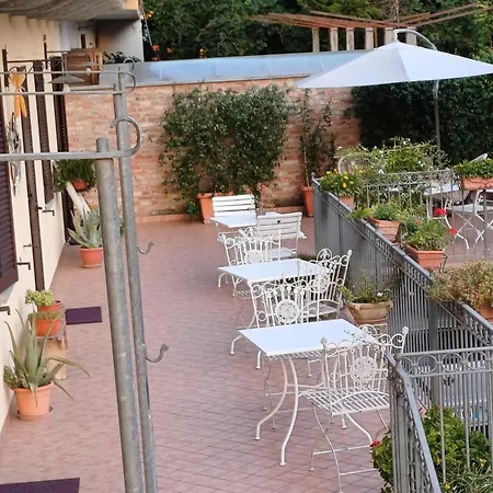Il Germano Reale-3
