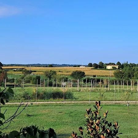 B&B Da Robertino-3