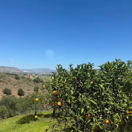 Santa Teresa Bed&Breakfast Andalusien-2