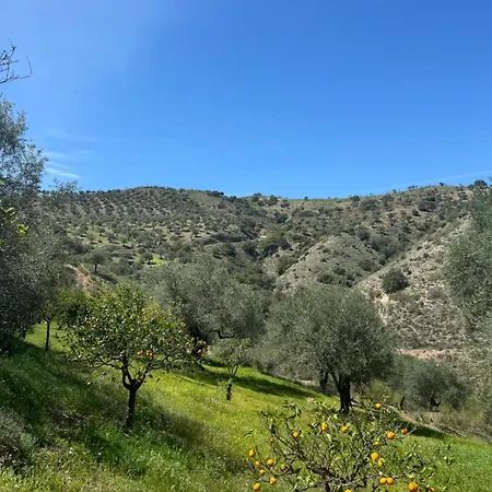 Santa Teresa Bed&Breakfast Andalusien-3