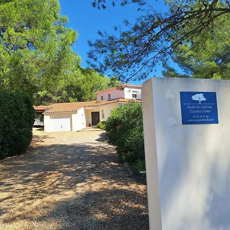 Studio D'Hotes Les Libellules-2