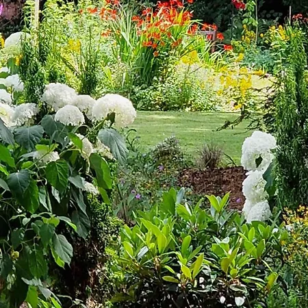 Claridge House Retreat Centre Inc Continental Vegetarian Or Vegan Breakfast-3