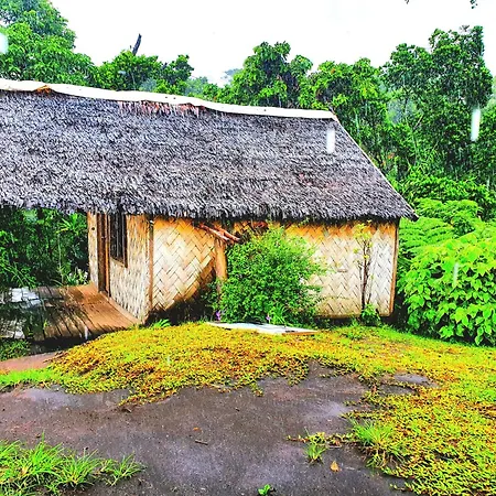 Island Paradise Bungalows-3