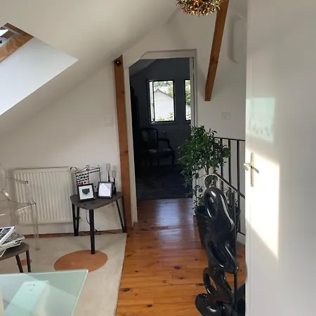 Chambre hôtes nichée sous les toits-2