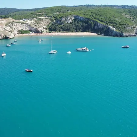 Vacanze Top-2