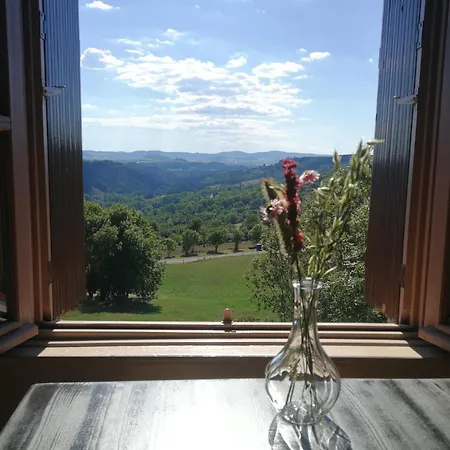 La Modestine-2