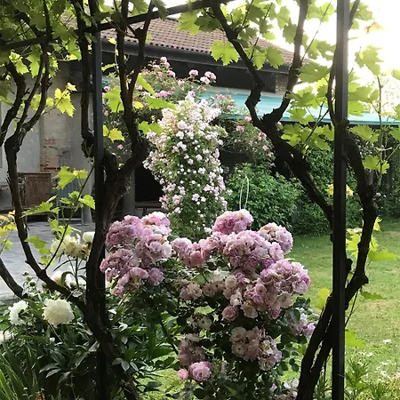 B&B Cascina Marie-3