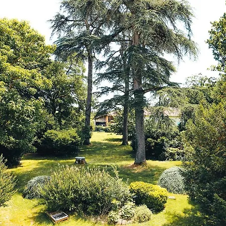 La Maison du Saula-2