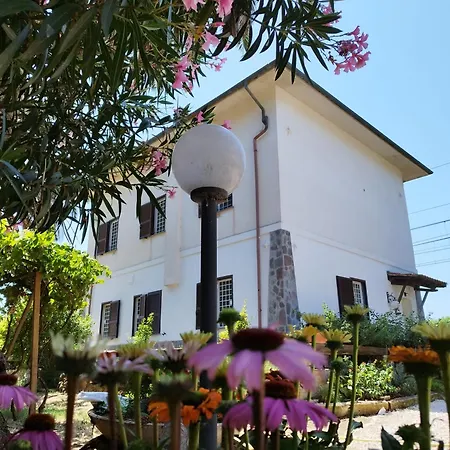 La Domus di Cosa-3