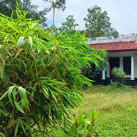 Angels' Homestay Marari-3