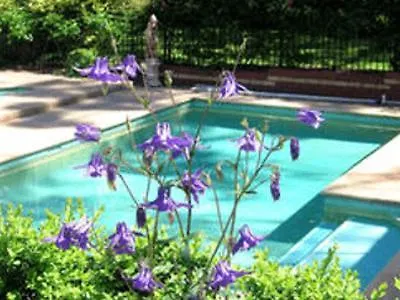 Treetops Bed & Breakfast-2