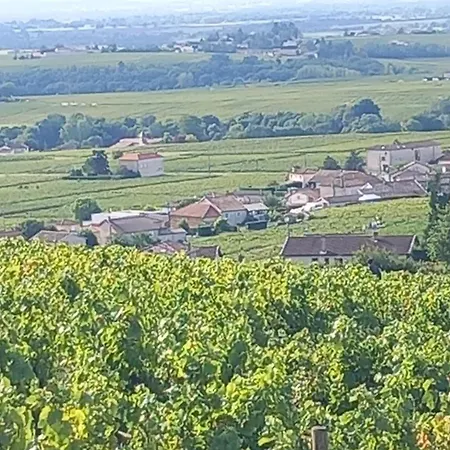 Cocon De Morgon-2