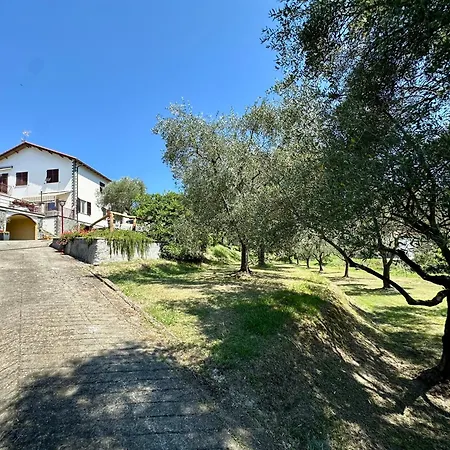 Agriturismo Uliveto Bartolomeo-3