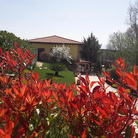 Tenuta la Ginestra-3