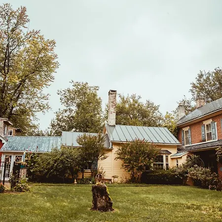 Fallen Tree Farm Bed And Breakfast-3