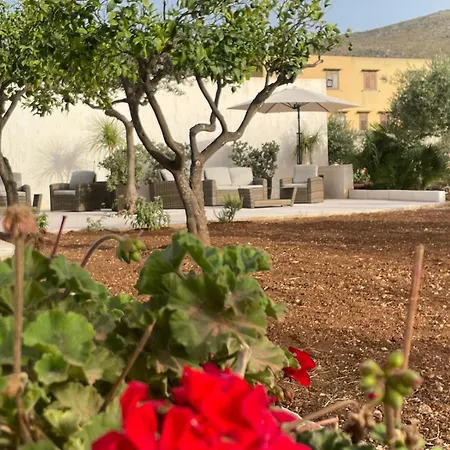 Olea-2