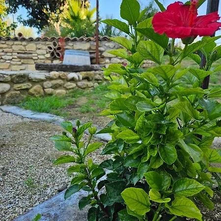 Borgo del Marchese-3