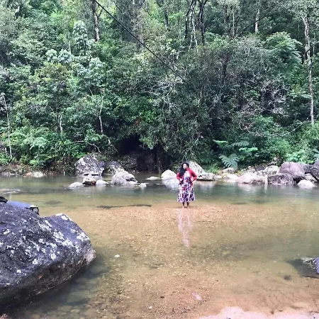 Jungle Tree House Rangala-2