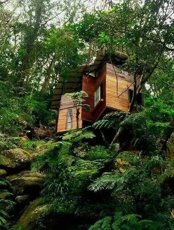 Jungle Tree House Rangala-3