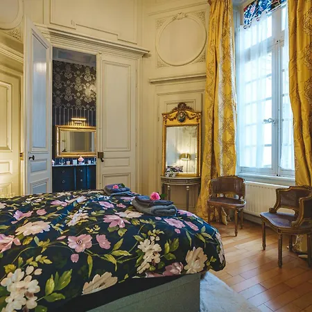 Hôtel particulier Hôtel Blancler-2