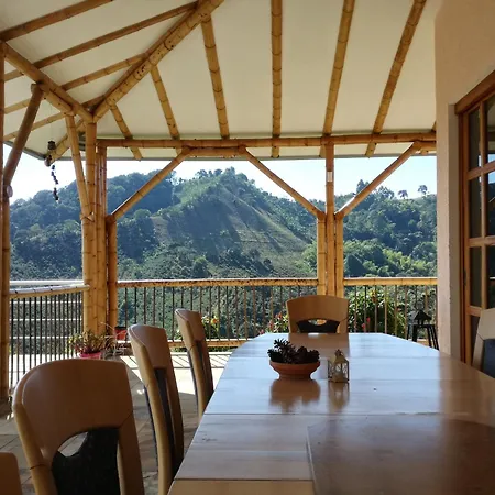 Finca Buenavista-3