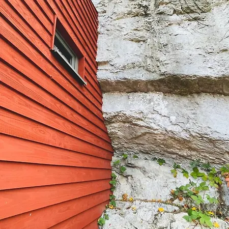 La Grotte Dinant-2