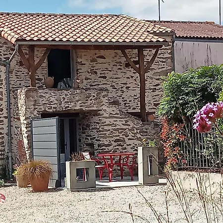 Fleur de Vigne-3