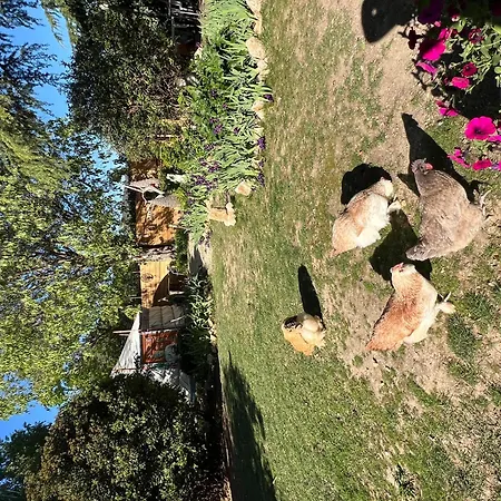 Bastide du Bonheur Saint Donat-2