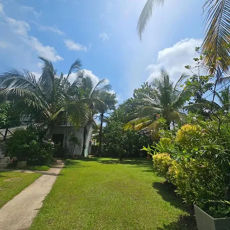 Optimum Residencies-3