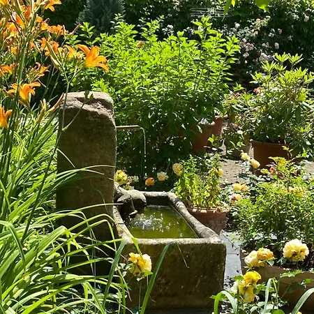 Villa zur Erholung Bed&Breakfast-3