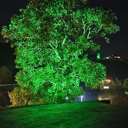Cloud9 Resort Vagamon-2