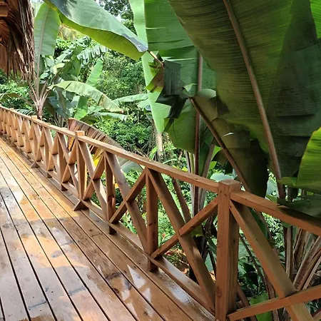 Samo Eco Lodge-2