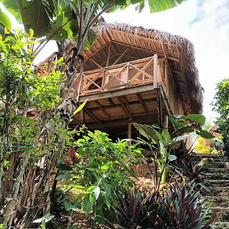 Samo Eco Lodge-3