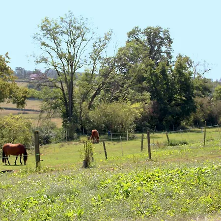 Le moulin de vaux-3