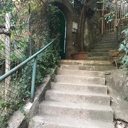 The Secret Garden-2