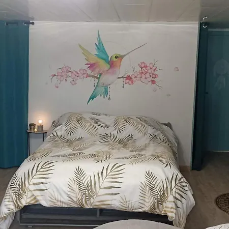 Le nid du Colibri-2