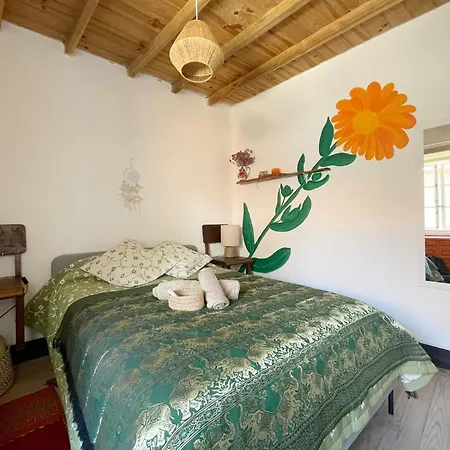 Casa SanAndo Integrative Medicine Treat&ReTreat Center-2