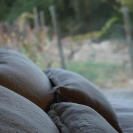 Vina Lof - Maipo Valley Bed & Breakfast In Winery-2