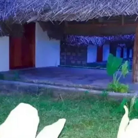 Amigos Inn-2