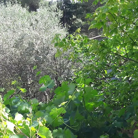 Bastide Sainte Agnes-3