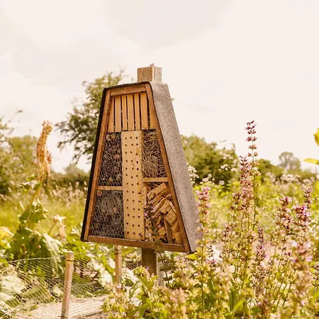 Boutiquehotel & Tiny Houses Plek17-3