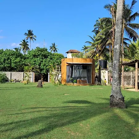 Coconut Tree Hill Rekawa-2