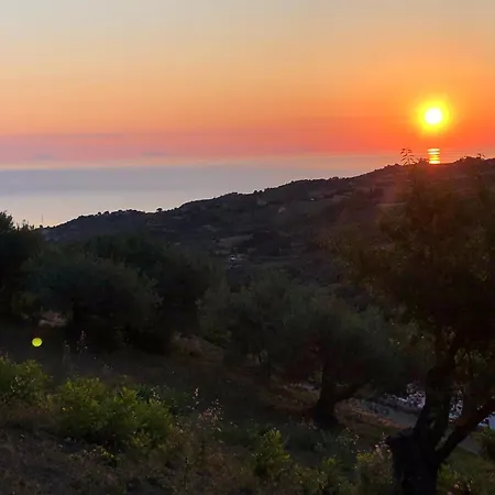 Orto Raccolto-2