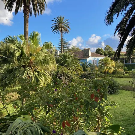 Quinta Das Palmeiras-2