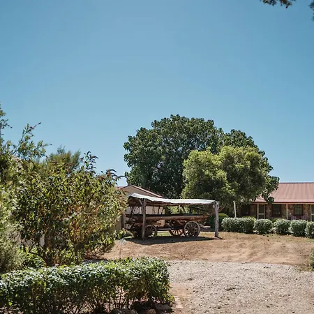 Langmeil Cottages-2