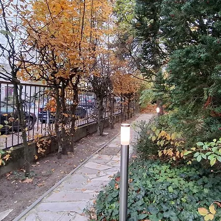 King David Garden-3
