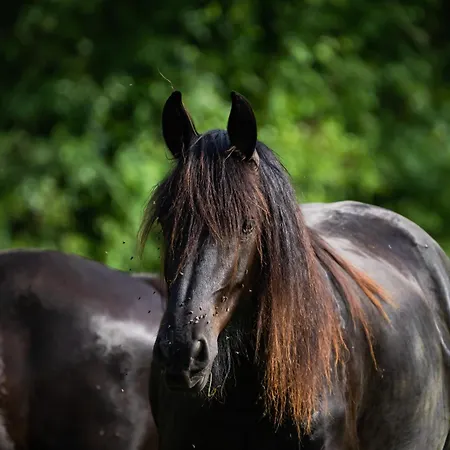 La Grange-2