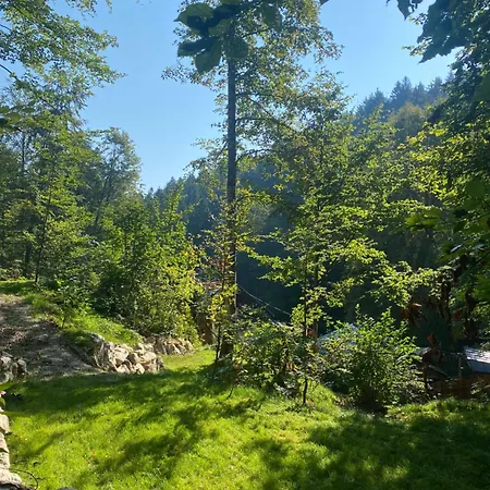 Waldschlucht-2